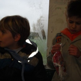 DSC02818 - Scouts en Gidsen Zaventem 